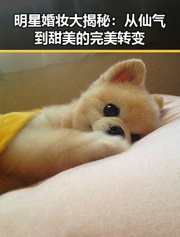 明星婚妆大揭秘:从仙气到甜美的完美转变